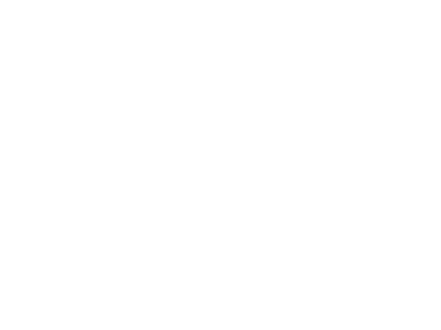 The gate to success